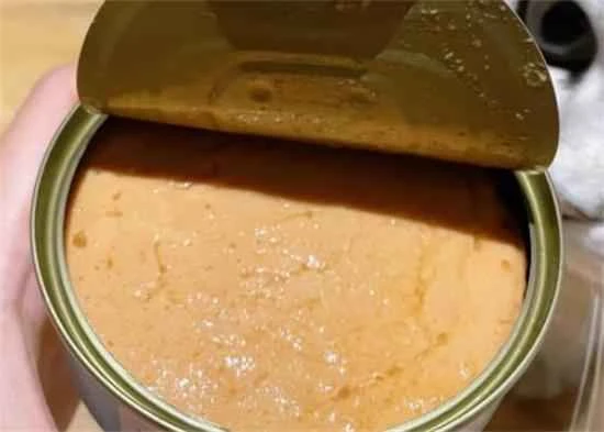 How often should you feed your cat canned food?