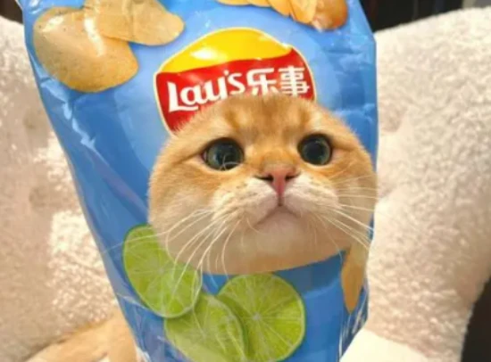 Can cats eat potato chips?