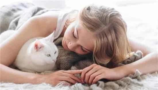 What to do if a kitten bites during its teething period?