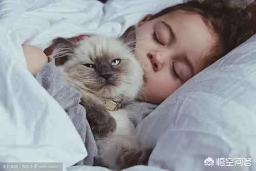 Can cats sleep with people?