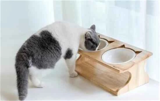 Will a cat get angry if it's locked out?