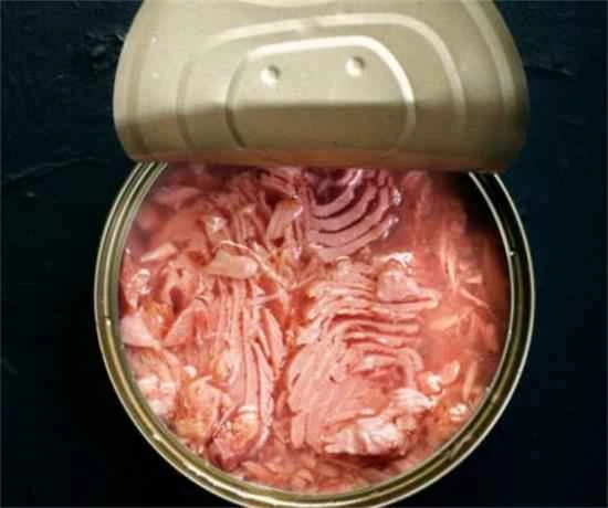 How long can cat food be kept after opening?