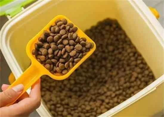 How to choose cat food