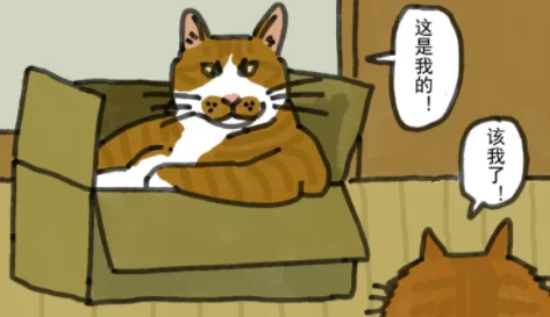 Why do kittens like cardboard boxes?