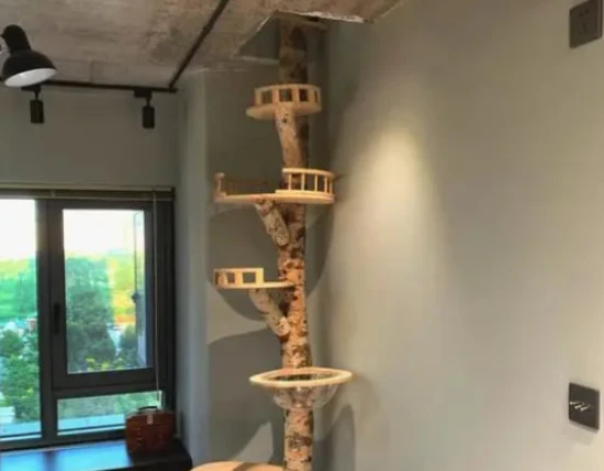 Is it necessary to buy a cat tree?