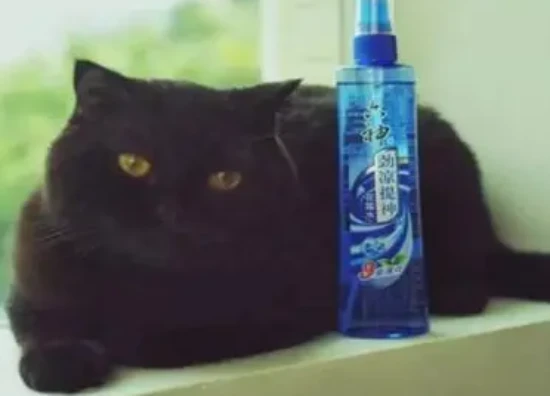 Can cats smell floral water?