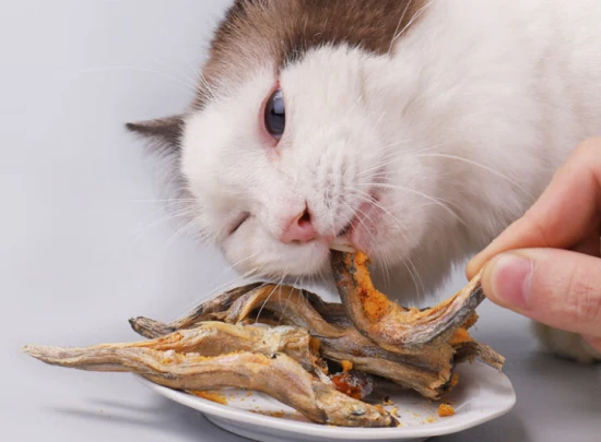 What kind of fish does the cat eat as dried fish?