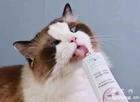 How often should you give your cat hairball remedy and what precautions should you take?