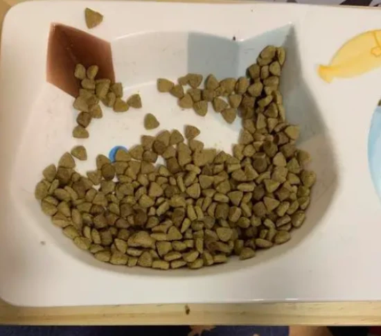 Why do cats always leave a little bit of food in their bowls and not eat it?