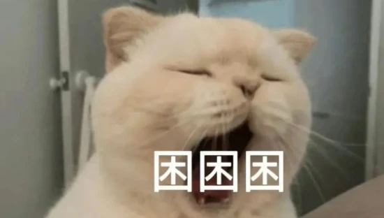 在猫咪眼里，主人让它“上床”睡觉，代表着什么呢？