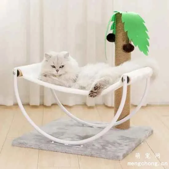 How to maintain and clean a cat tree?
