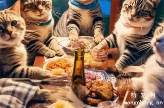 Some cats are even more loyal than dogs. Is your cat on the list?