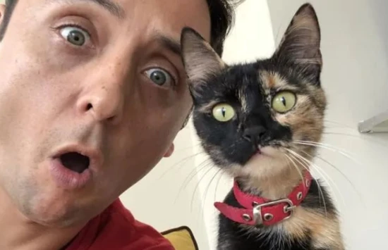 Can cats really understand human speech?